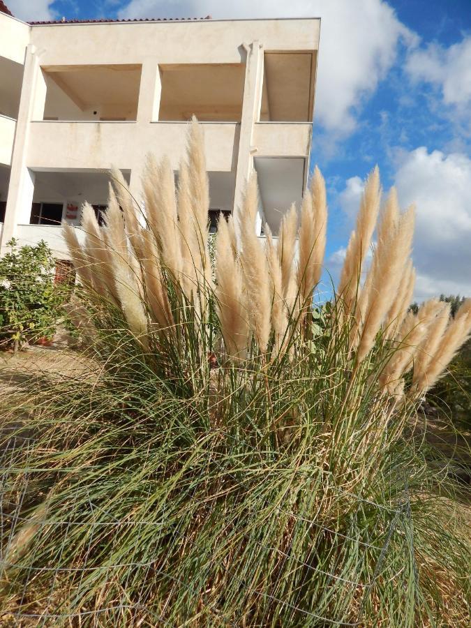 Οδυσσεια, Κοντά Σε Αεροδρόμιο, Λιμάνια Και Θάλασσες Leilighet Keratea Eksteriør bilde