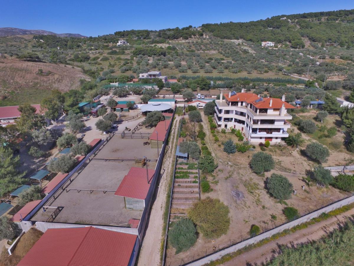Οδυσσεια, Κοντά Σε Αεροδρόμιο, Λιμάνια Και Θάλασσες Leilighet Keratea Eksteriør bilde